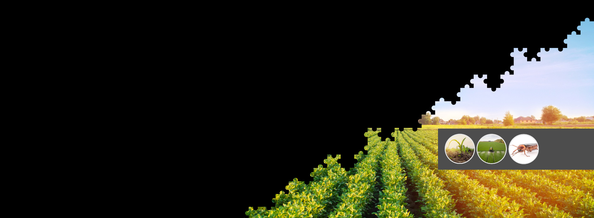 platform kinetics agriculture technology