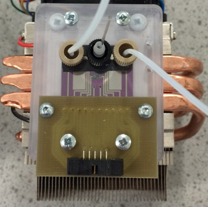 electrochemical biological microfluidic