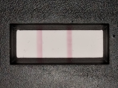smartphone lateral flow device reader